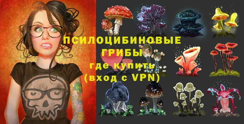 Псилоцибиновые грибы Magic Shrooms  Дудинка 